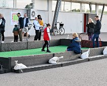 Z50_5451_iAuto People-SharpenAI-Motion Bilder Världens Barnloppet Kalmar 2023